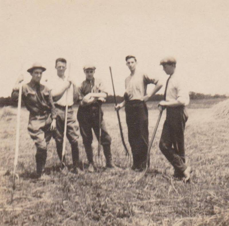 Clearing the field for baseball